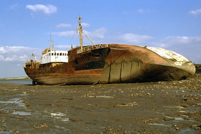 UNDERLEY QUEEN-GRIT 160791a.jpg