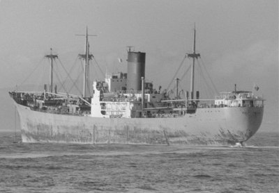 GULF FALCON   15-1-1981.jpg