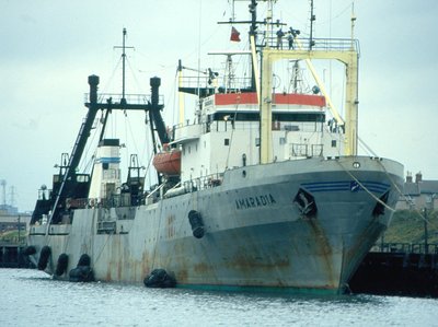 AMARADIA   28-9-1994.jpg