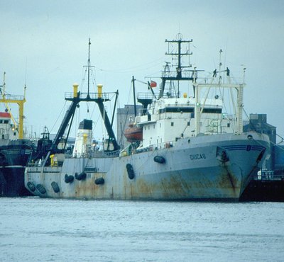 CIUCAS   28-9-1994.jpg