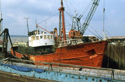 GRAMPIAN QUEEN 120590.jpg