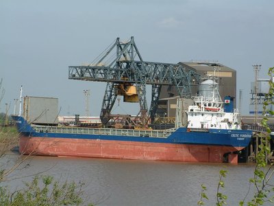 CELTIC FORESTER(E).jpg