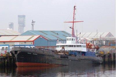 SEAL SANDS 070109c_1.JPG