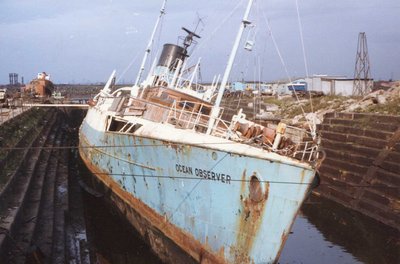 OCEAN OBSERVER (I).jpg