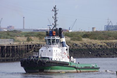 SVITZER CASTLE 011012e.JPG