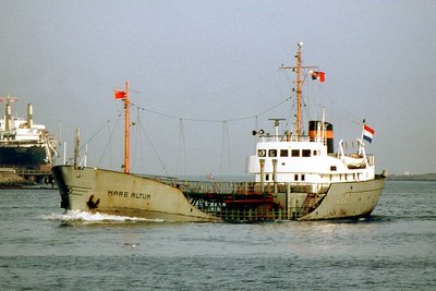 MARE ALTUM 290181b.jpg