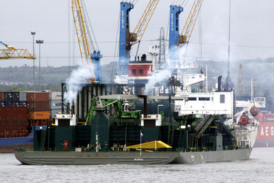 21) Seahorse (02.06.12).jpg