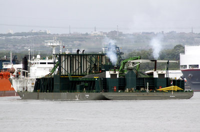 23) Seahorse (02.06.12).jpg