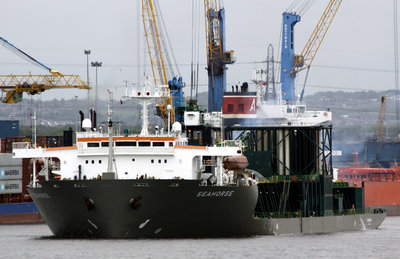 24) Seahorse (02.06.12).jpg