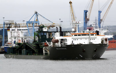 28) Seahorse (02.06.12).jpg