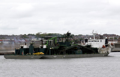 31) Seahorse (02.06.12).jpg