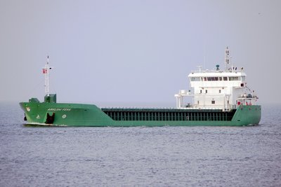 ARKLOW FERN 161112b.JPG