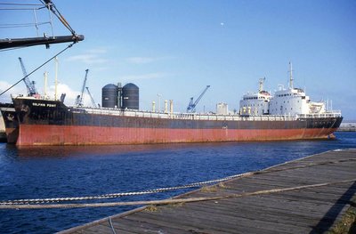 DOLPHIN POINT 300886.jpg