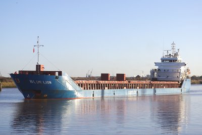 BLUE LION 231112b.JPG