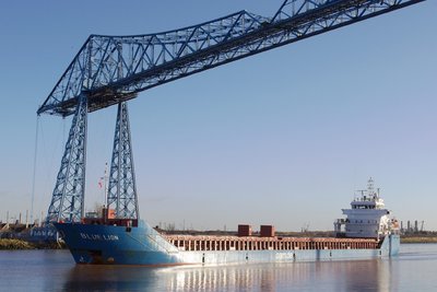 BLUE LION 231112c.JPG