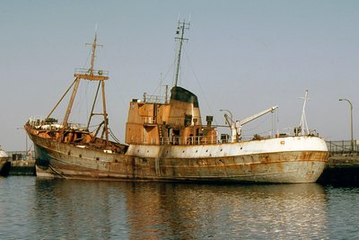 ROSS CANAVERAL 180678a.jpg