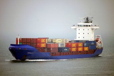 CORVUS J 210612a.JPG