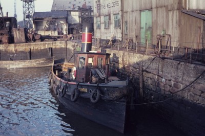 Watchfull 1966_1.jpg