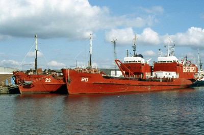 WHITETHORN-GORSETHORN 250987b.jpg