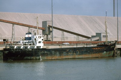 BLACKTHORN 020780a.jpg