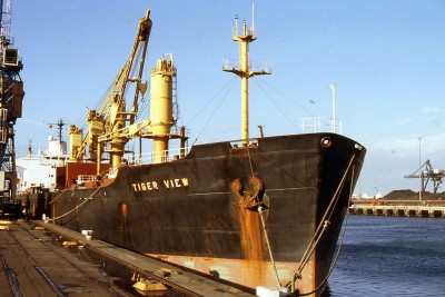 TIGER VIEW 041196a.jpg