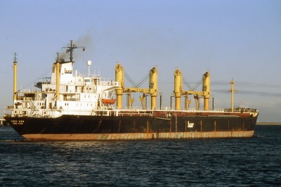 TIGER VIEW 051196a.jpg