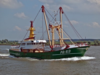 1599402.jpg