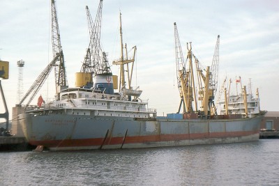 NEPTUNE ZIRCON 0176a.jpg