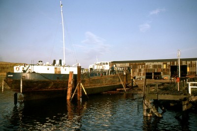 CHERRYBEE 120883a.jpg