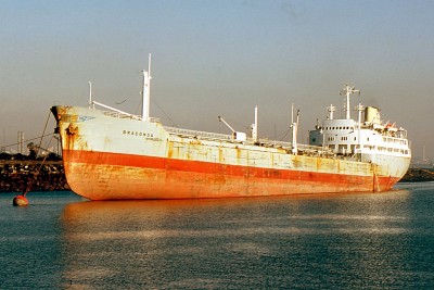 BRACONDA 060277a.jpg