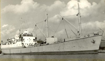 TERN1953.jpg