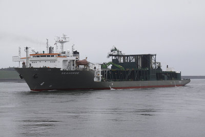 03) Seahorse (06.06.12).jpg