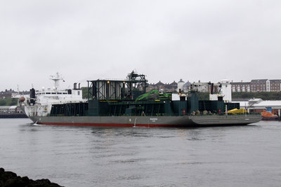 04) Seahorse (06.06.12).jpg