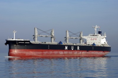 AFRICAN JACANA 170213c.JPG