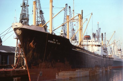 VISHVA VIR 0576a.jpg