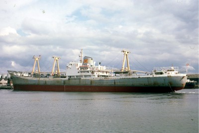 CELERINA 0676a.jpg