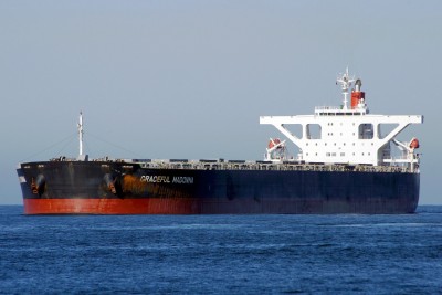 GRACEFUL MADONNA 270213b.JPG