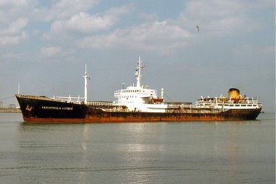 GIOVANNELLA DI AMICO 210676a.jpg