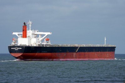 GRACEFUL MADONNA 010313b.JPG