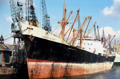 BANGLA POLYXENI 130377a.jpg