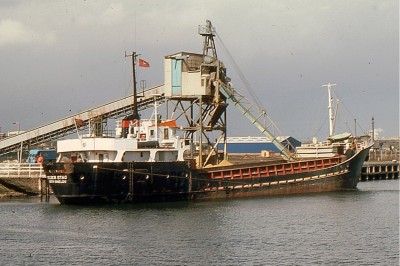 KIELDER  STAG 010477a.jpg