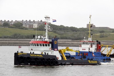 14) Dutch Pearl (04.06.11).jpg