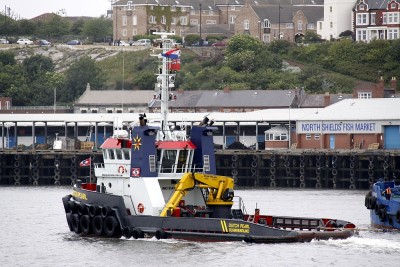 15) Dutch Pearl (04.06.11).jpg