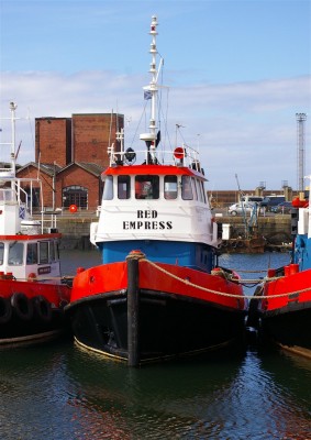 Red empress   15-4-2013.jpg