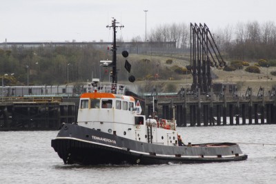 15) Tennaherdhya (28.04.13).jpg