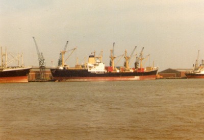 img036.jpg