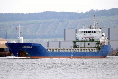 MEERDIJK 060513b.JPG