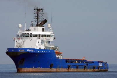 SEA LYNX 030613a.JPG