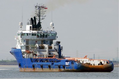 SEA LYNX 030613d.JPG