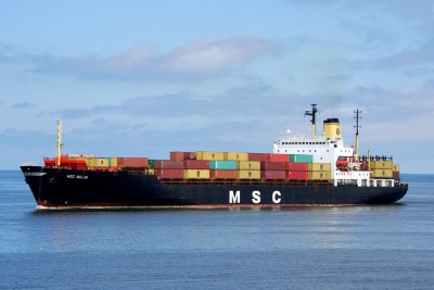 MSC MALIN 080613c.JPG